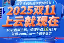 2025年雙十一購買云服務(wù)器要多少錢-西部數(shù)碼知識庫